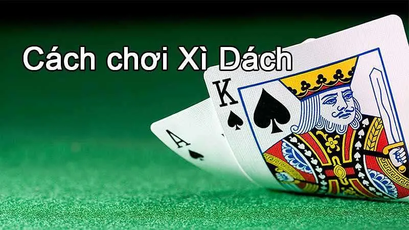 Chi tiết cách chơi bài Xì Dách cho tân thủ